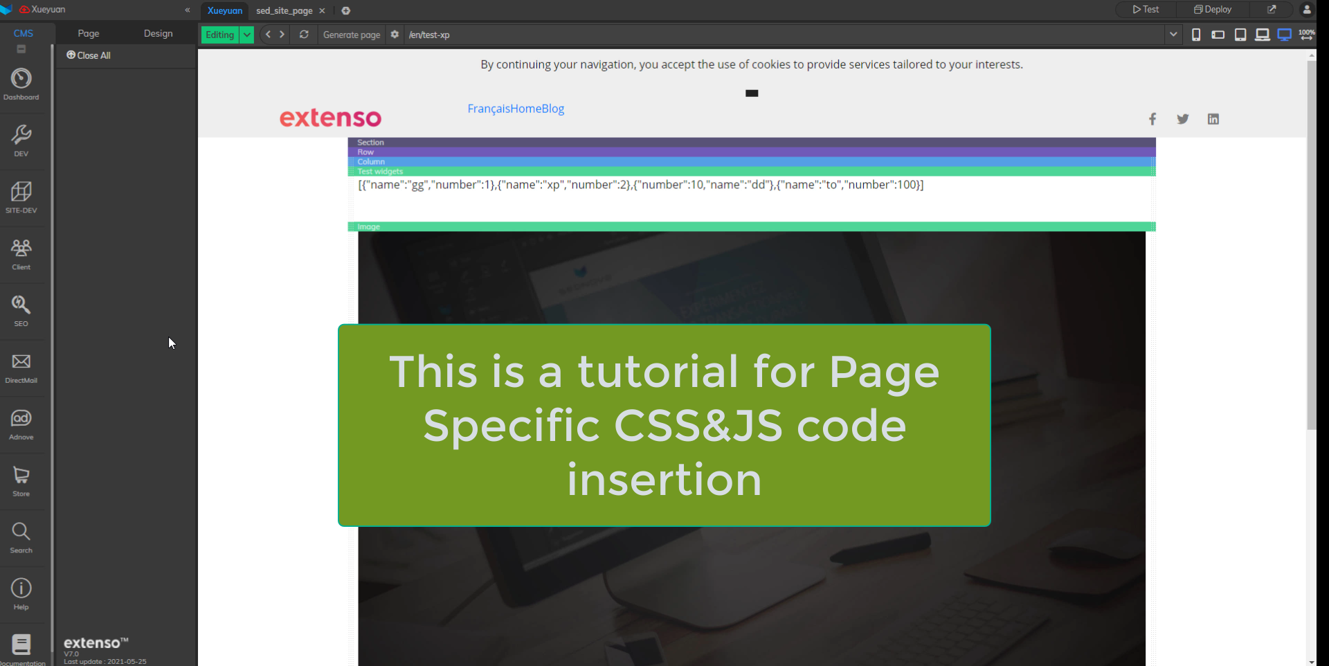Insertion de code CSS / JS dans Extenso